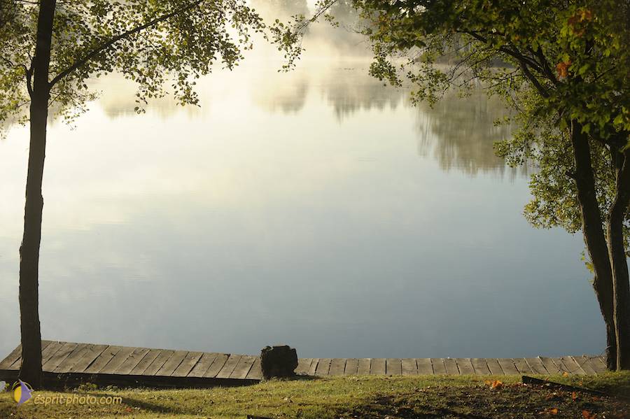 Nom de l'image : D30082734_1_(c)Norbert-JUNG — Description :